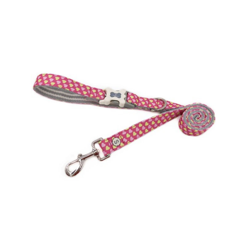 Utskrift Nylon Dog Lydighet Recall Agility Training Lead