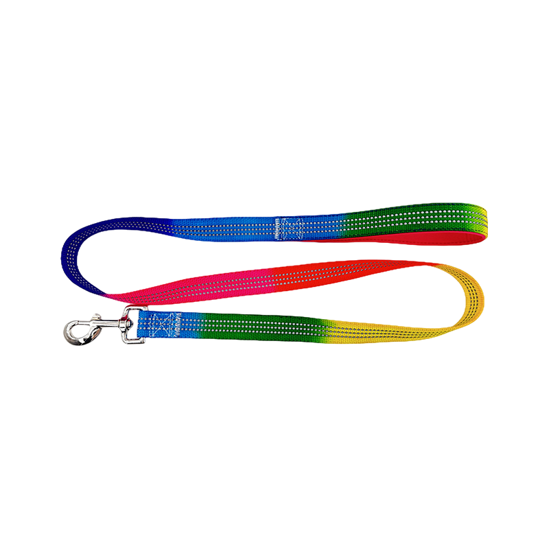 D Ring Dog Slip Leads Leash Kennel Nylon Rope